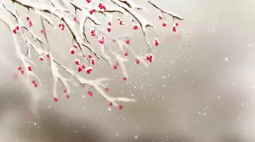 描写雪的优美句子文案摘抄大全