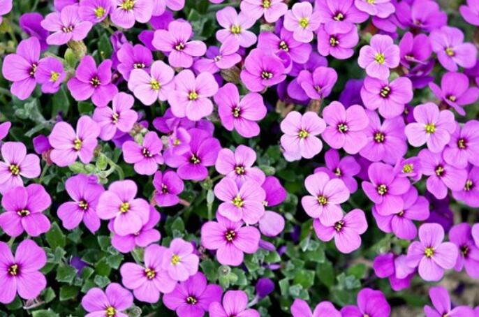 个性签名深奥难懂短句