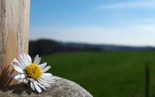 4个字个性签名霸气