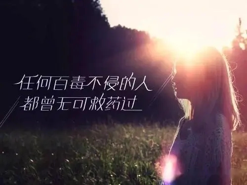 抖音里走心的网红句子文案