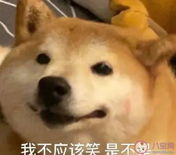 非常难的句子文案