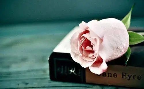 感恩别人帮助自己的话简短