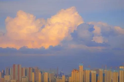 为什么能组什么句子文案