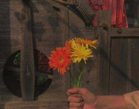 关于八月的唯美句子文案大全