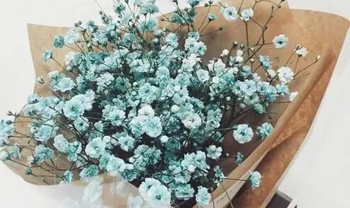 满天星的经典名言