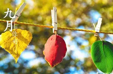 九月唯美句子文案图片