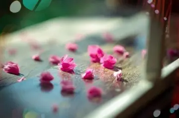 表达对事情无奈的古诗