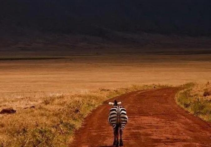 正视自我的名言