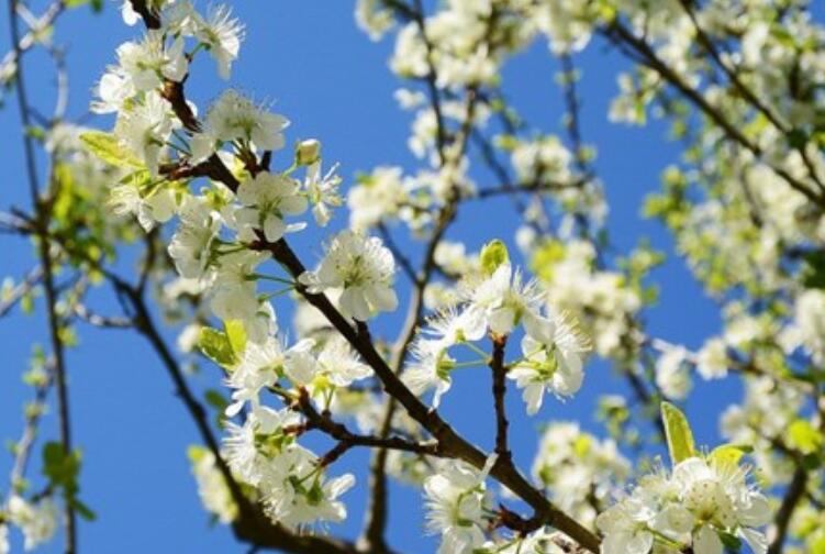 委屈到哭的说说文案可怜
