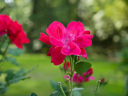 失望心痛的句子文案句句刺心