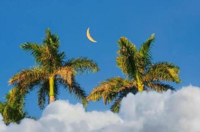 心里充满阳光唯美句子文案