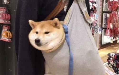 单身可撩的个性签名