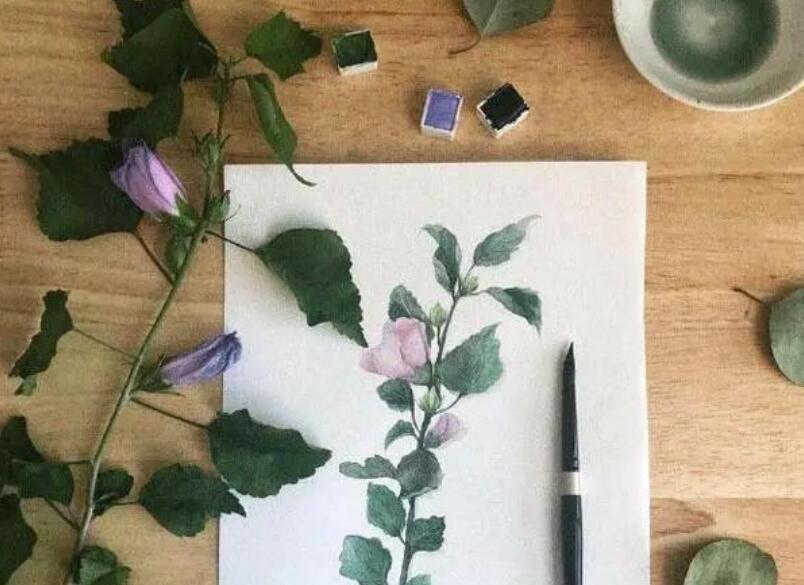 形容生话很洒脱的美句