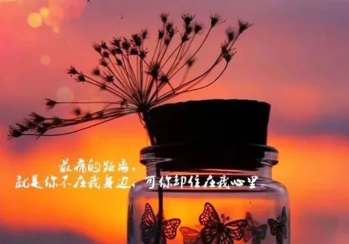 表示心情后悔的句子文案