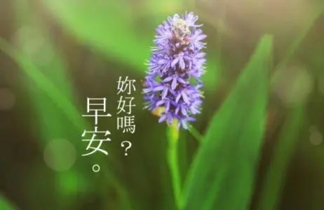 早安暖心话正能量一句话