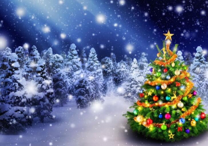 圣诞快乐英文文案祝福语