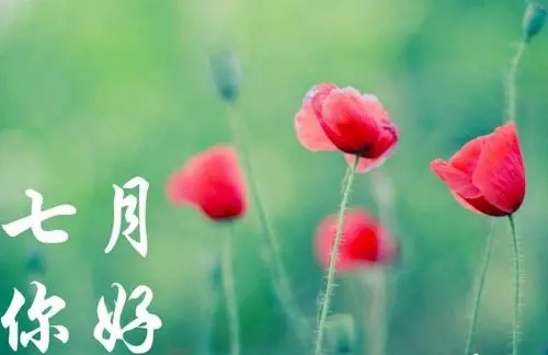 描写七月的简短唯美句子文案