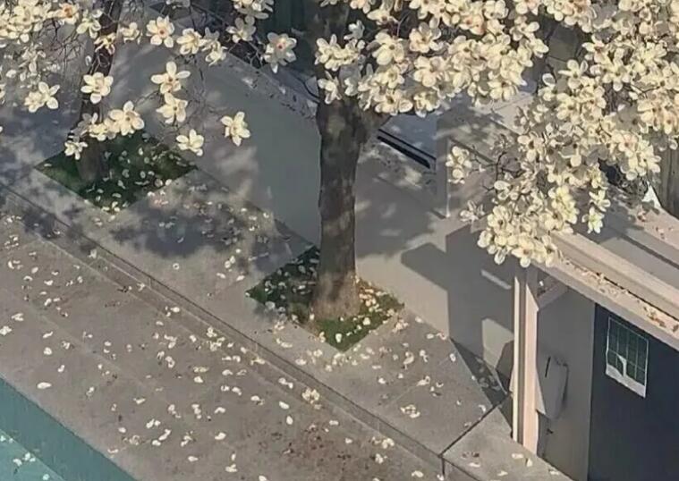 夸人最走心的话