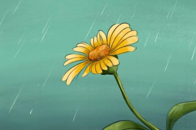 一个人听着雨声的心情说说文案