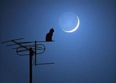 突然有点伤感的说说文案