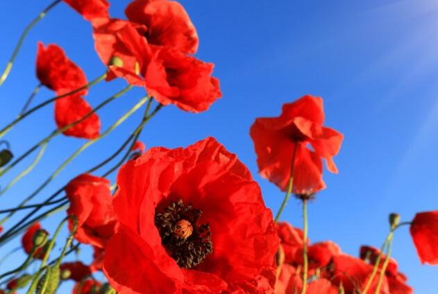 走出监狱感慨句子文案