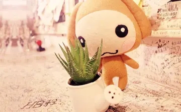 5个作比较的句子文案