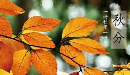 哪首诗描写秋分节气的诗