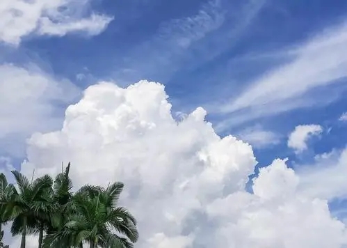 带夏的古诗词100首