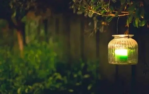 生命的意义一段话