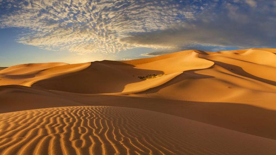 大漠的壮观景色的句子文案