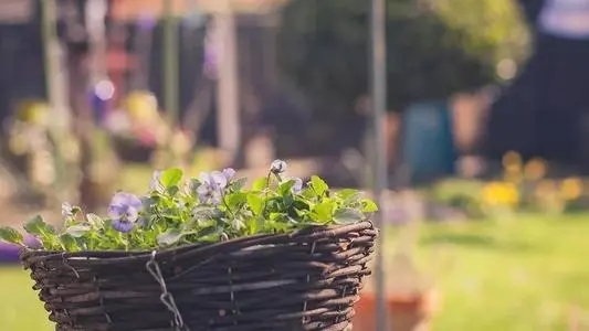 女生阳光唯美简短语录文案