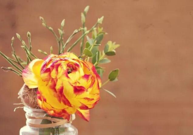 幸福句子文案短句