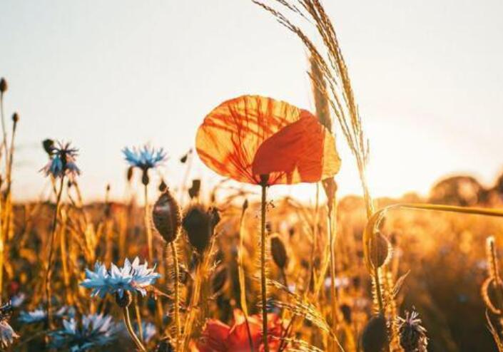 感谢好朋友一直陪伴的话