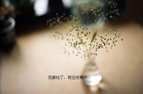 爱的累了放下的句子文案