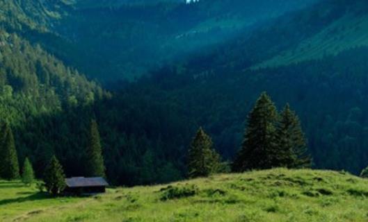 静下心来找回自己句子文案