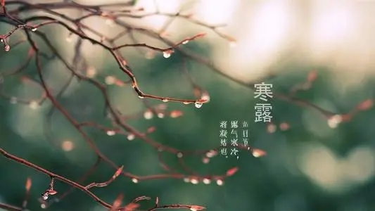 描写二十四节气的名句文案