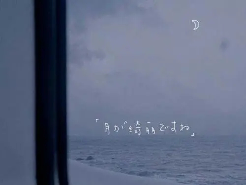 关于等风来的唯美句子文案