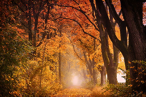 助学金感恩小短句