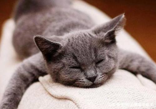 无聊的句子文案说说心情