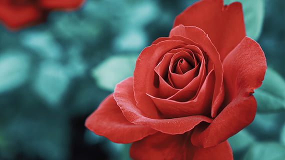 倒着念很污的句子文案