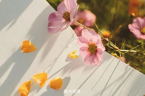 很污的早安的说说文案