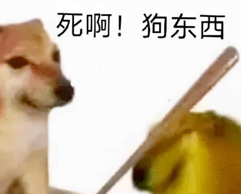 瞬间带动气氛的笑话