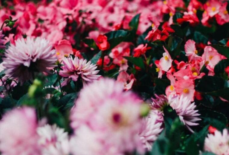 形容同学情谊的经典句子文案