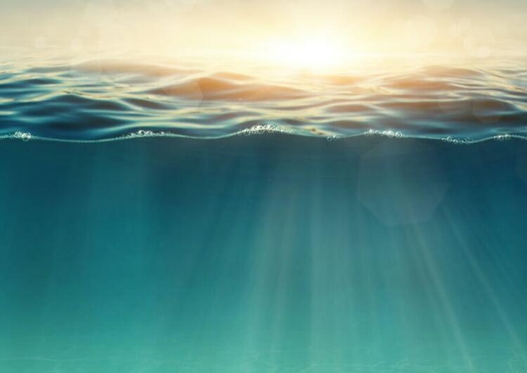 学会闭嘴经典语录文案