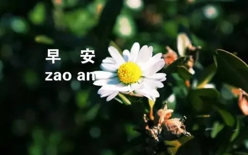 清晨寄语正能量