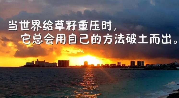 形容高考的好句子文案