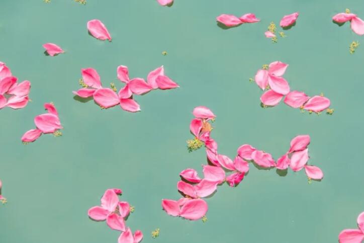 形容落花的唯美句子文案