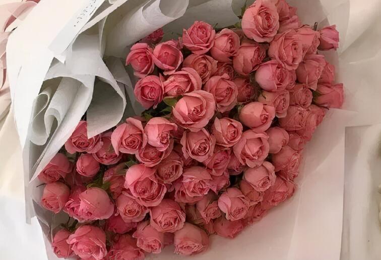 原耽奋斗语录文案