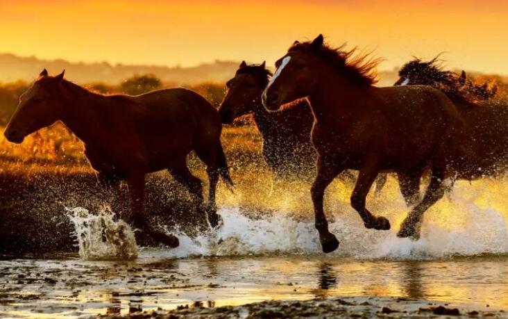 向上向善的励志诗词