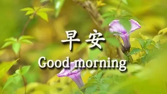 简短阳光早安问候语